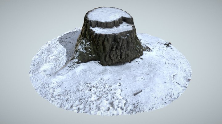 Stump in winter 01 – Gratis 3D-model STL