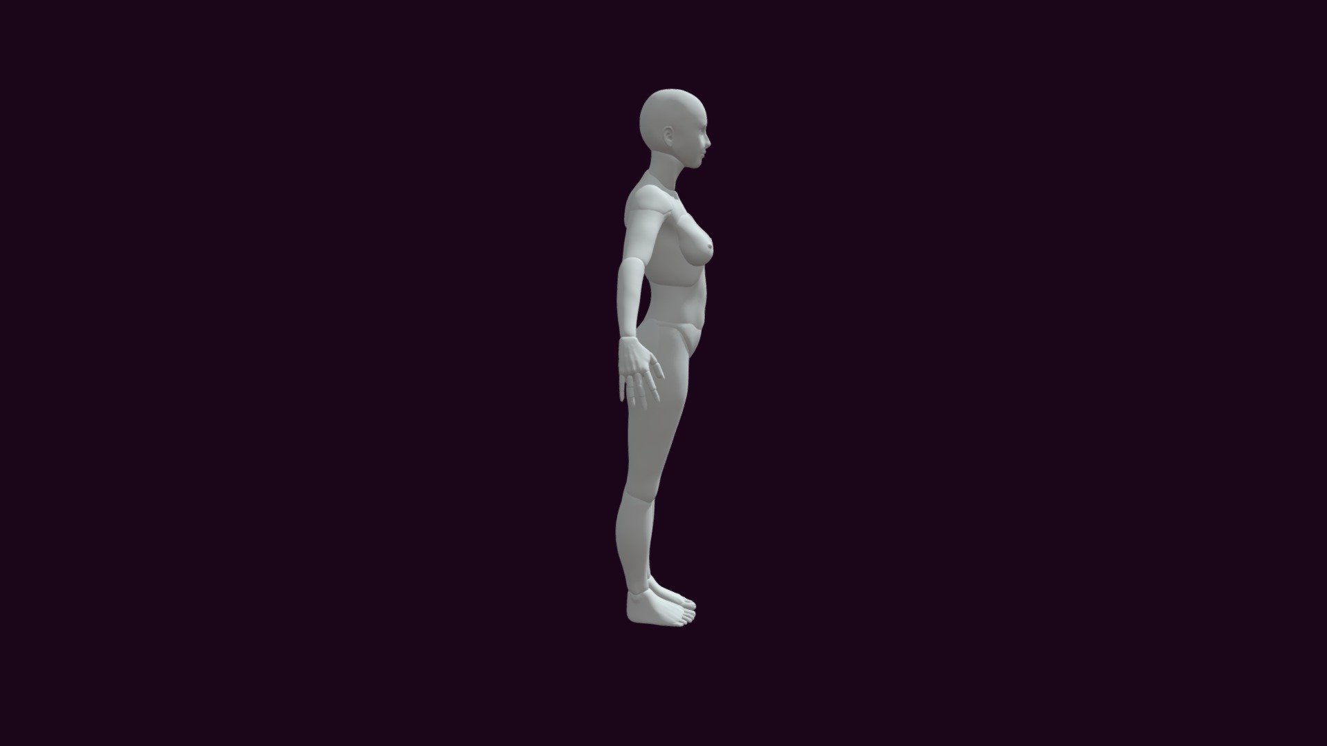 poseable model