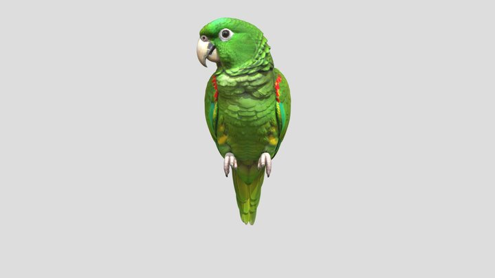 Emerald Parrot Portrait – Kostenloses 3D-Modell STL