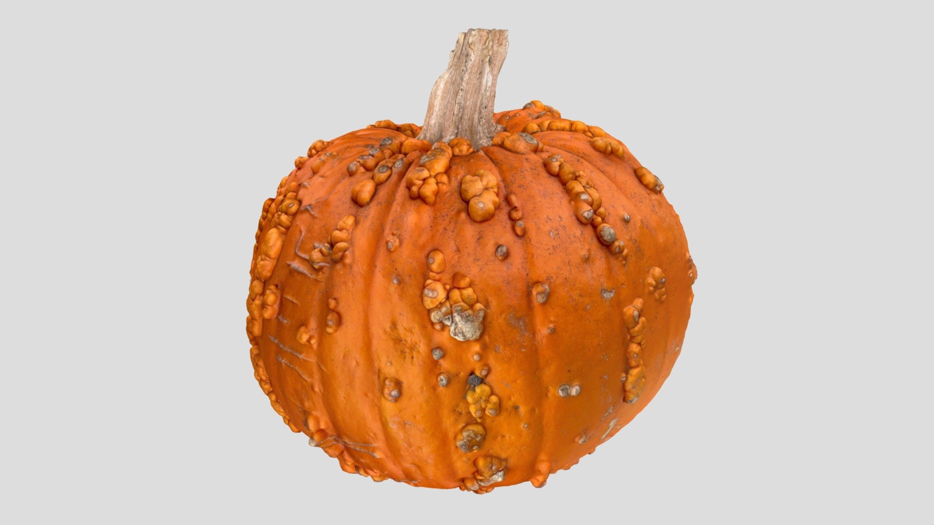 Knucklehead Pumpkin 3D model by ascannerdarkly [056a064] Sketchfab