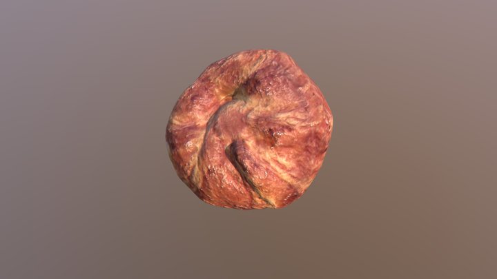 Fri_Nov_16_08_56_05_2018_GMT_obj 3D Model