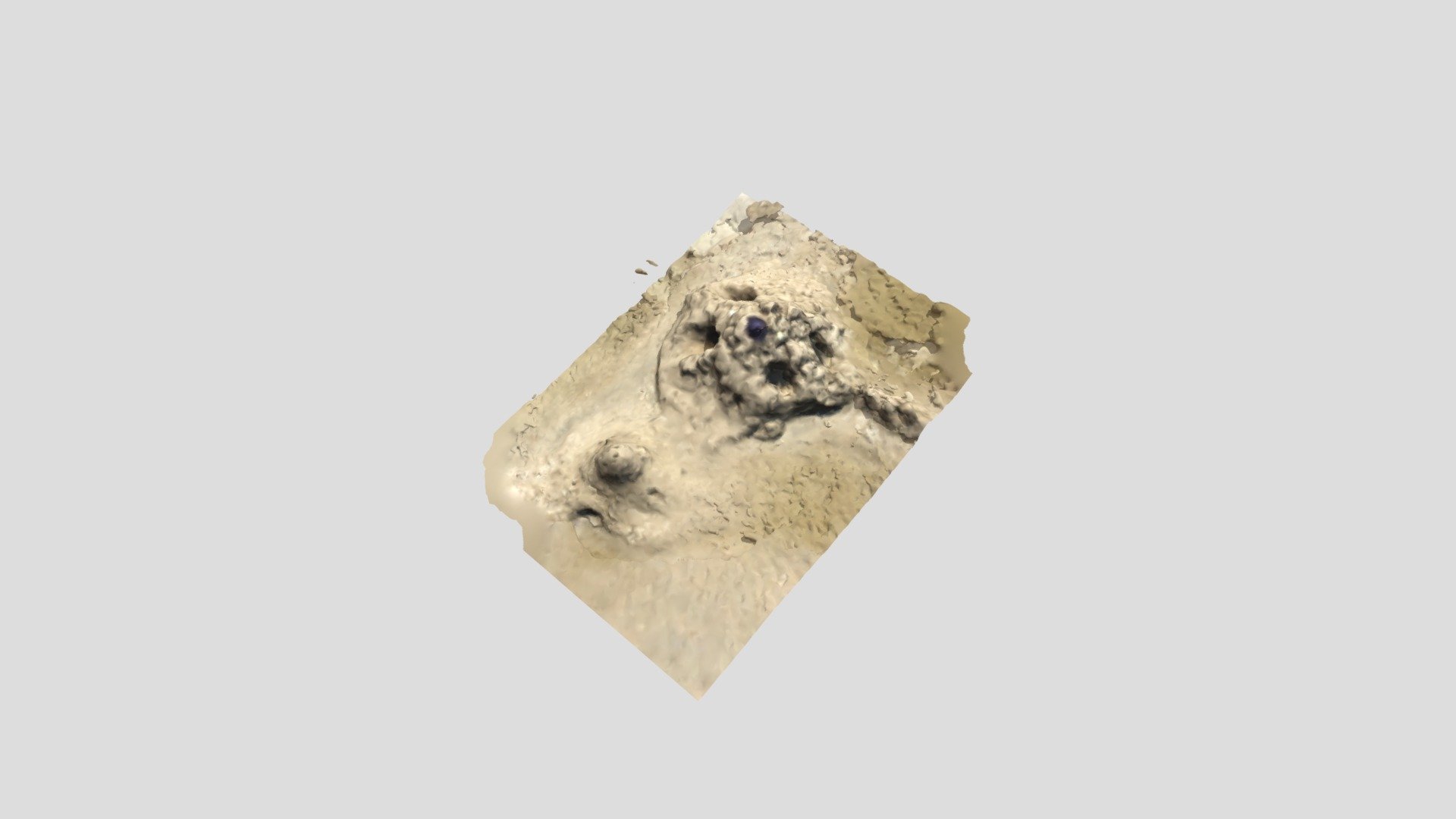 Sandcastle 2 Mordialloc Beach early 2020