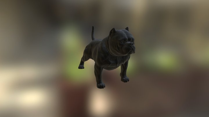 American Bully Dog 3D Model