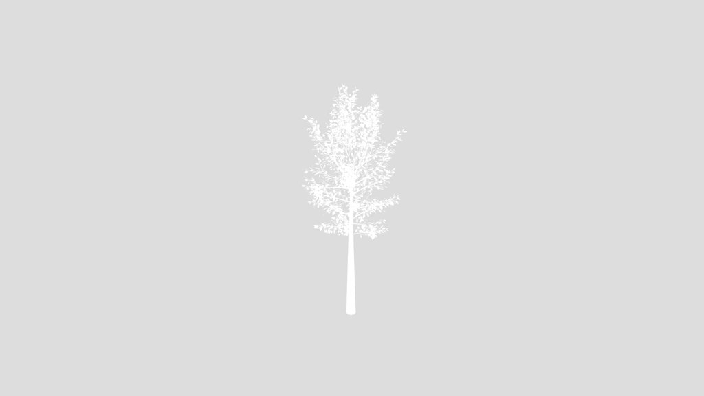 Street Tree
