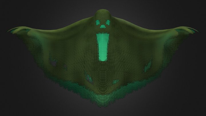 Ghostly Green Sheet 3D Model