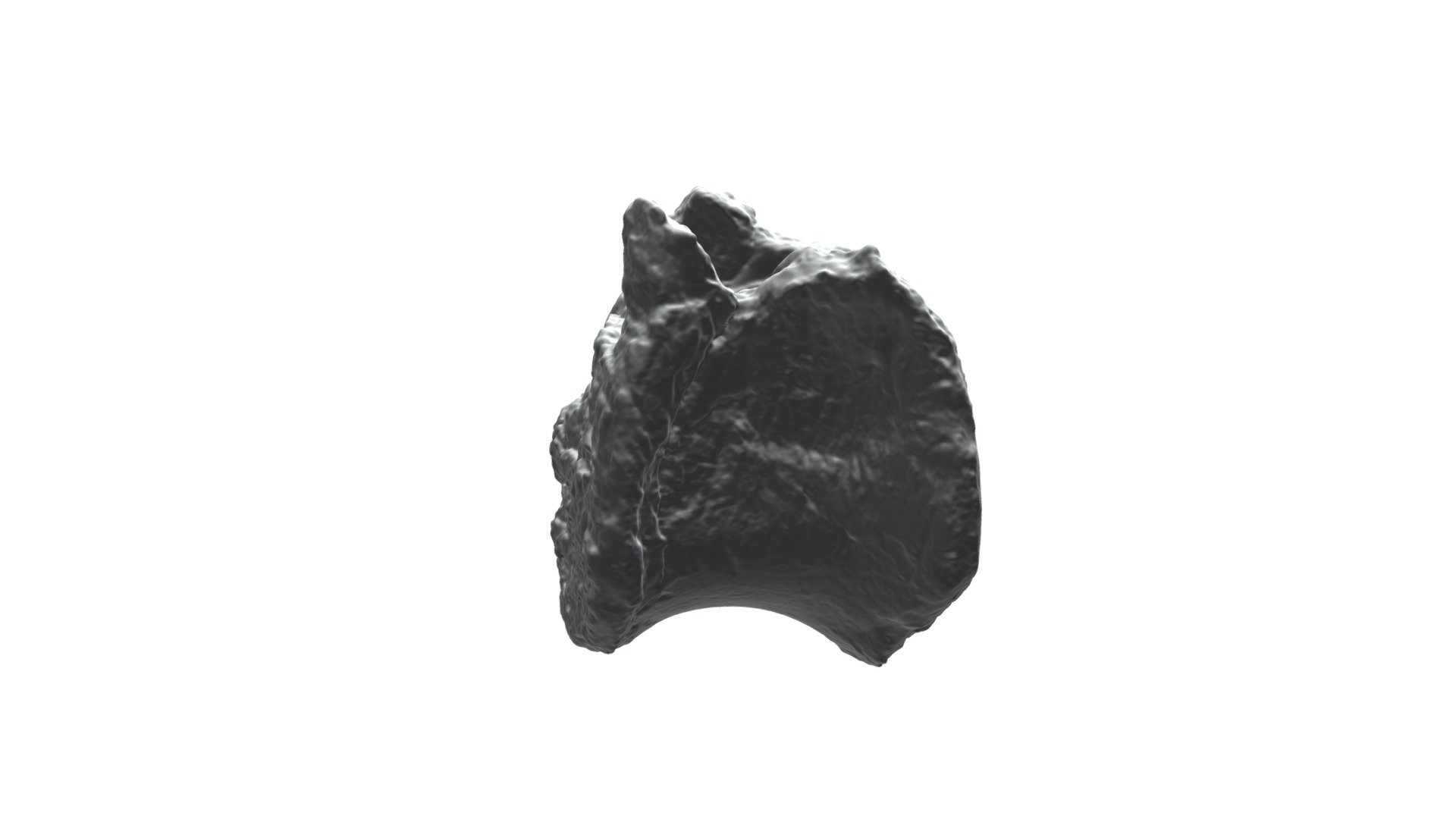 UMNHVP28350 Invictarx Mid Dorsal Vertebra 2 - Download Free 3D model by ...