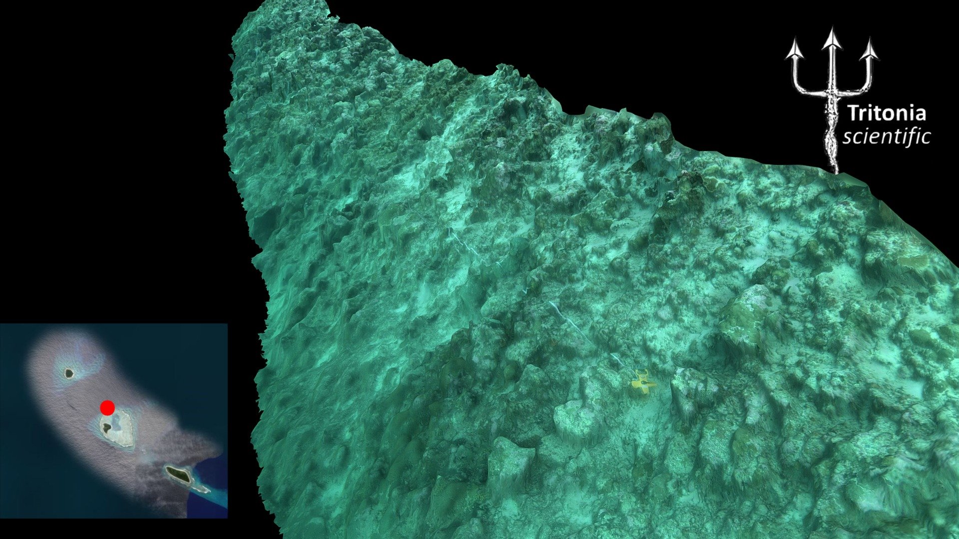 Middle Brother North, Great Chagos Bank, 17.5m 3D model by Tritonia