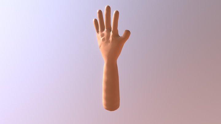 手部模型 3D Model