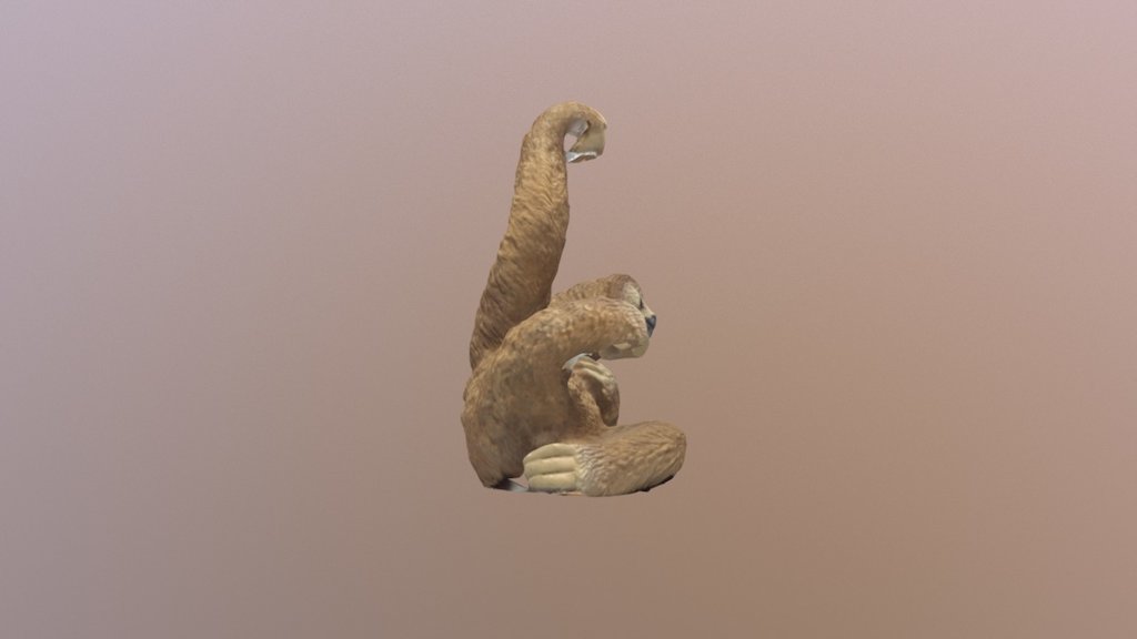 sloth