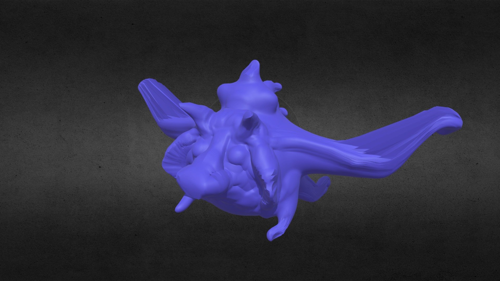 Flying pig 2