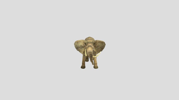 Elephant – Modello 3D gratuito STL