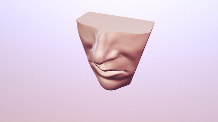 Day 1 Mouth and Nose 3D Model