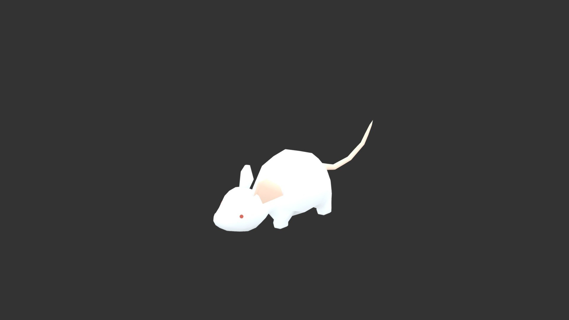 Giant Rat(White)