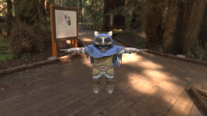 Raccoon Rogue (ARTSTDIO 380 Project) 3D Model