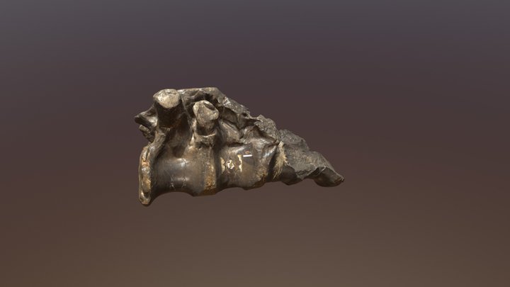 [1376] Geol Soc Coll 3887 Megalosaurus Sacrum 3D Model