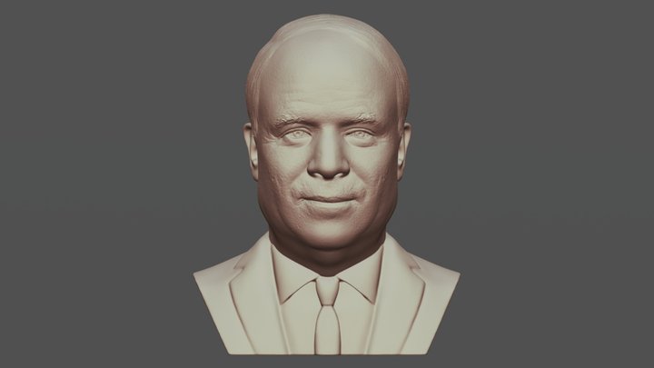 John McCain bust for 3D printing 3D Model