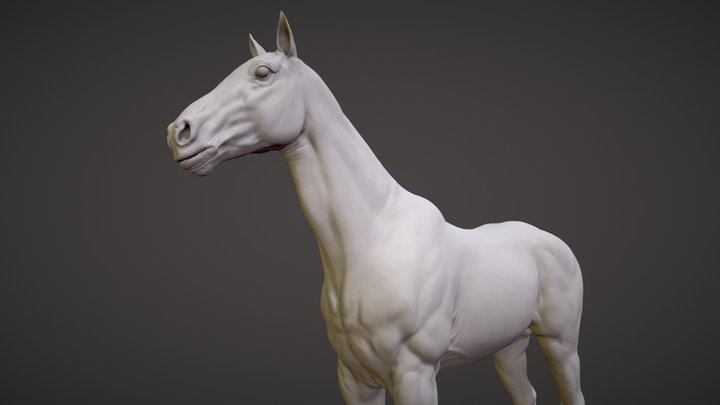 Realistic Horse Sculpt 3D Model