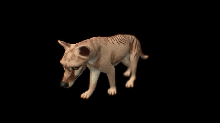 Tiger 3D models - Sketchfab