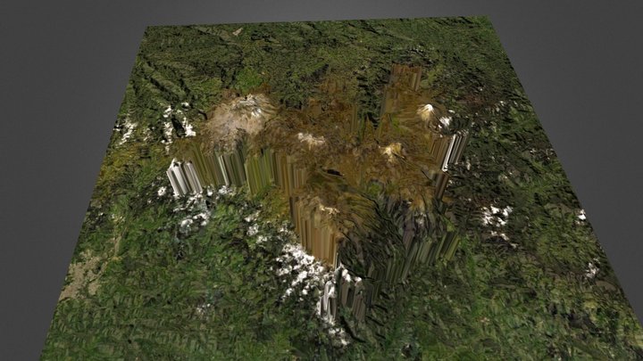 Parque Nacional Natural Los Nevados 3D Model
