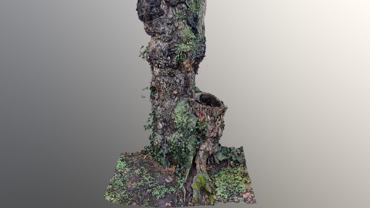 Resin-tree 3D models - Sketchfab