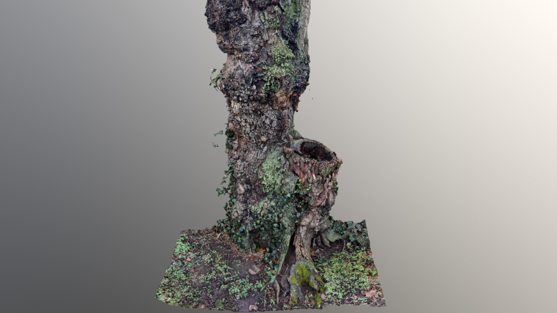Day 134: Resin Tree Trunc