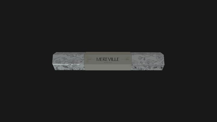 packaging copy 3D Model