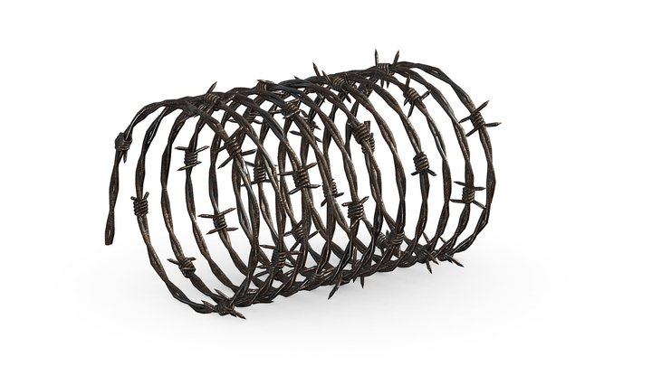 Barbedwires 3D Model