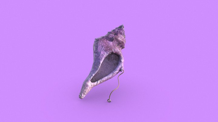 The Magic Conch Shell 3D Model