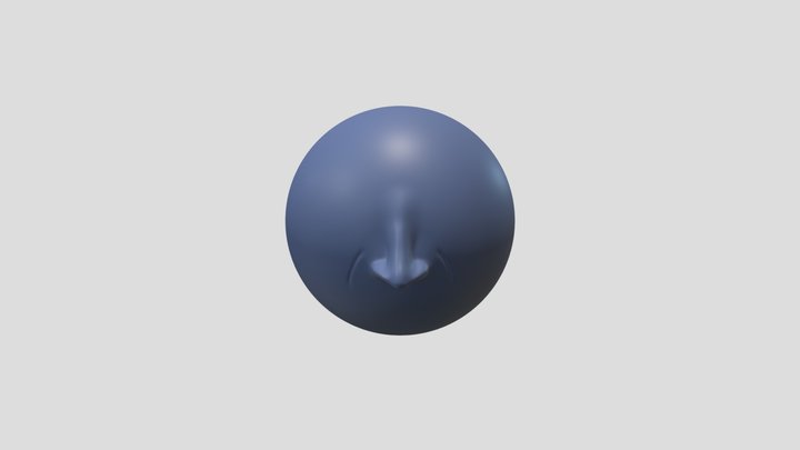 Nose Project 3D Model