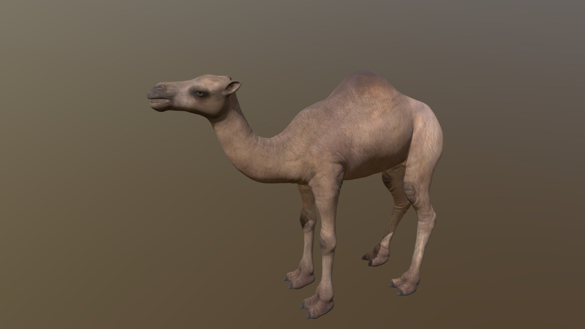 Camel (Download the original glb) - Download Free 3D model by kenchoo ...