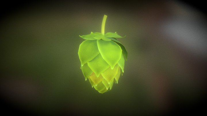 Hop 3D Model