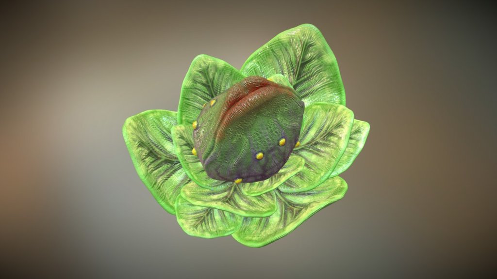 Little audrey II