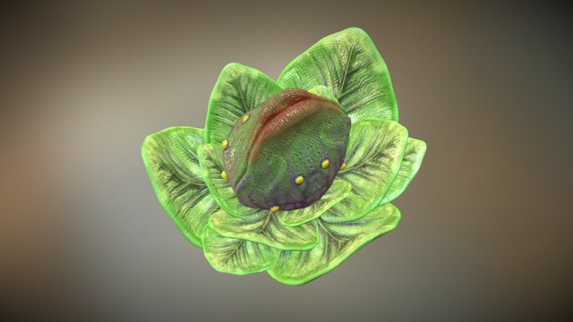 Little audrey II 3D Model