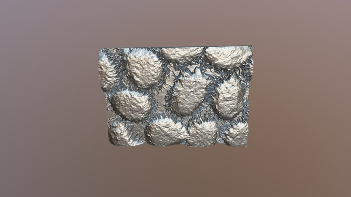 Shadow Sculpture - Rambutans 3D Model