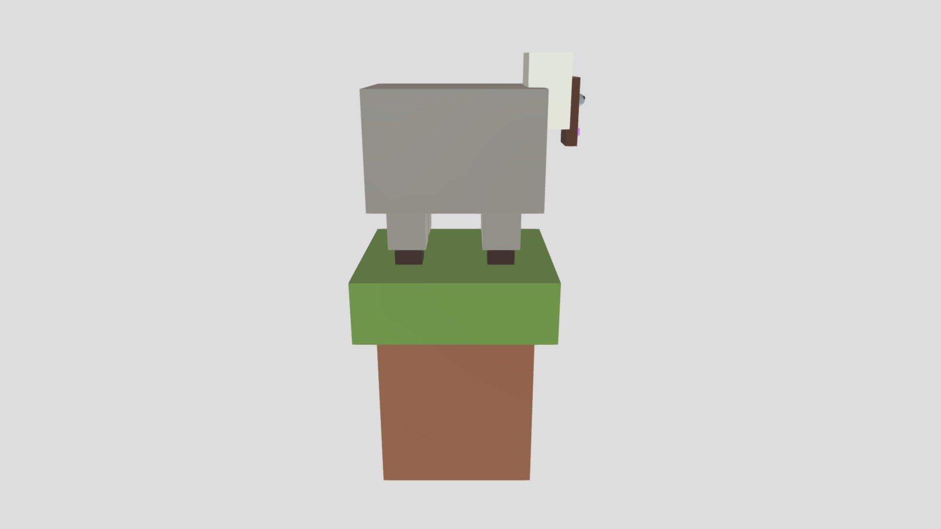 Sheep