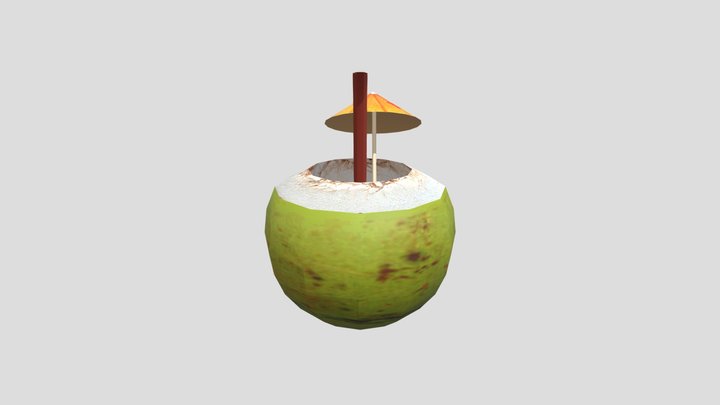 Coconut Drink 3D Model