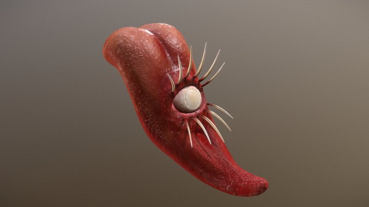 The all seeing tongue 3D Model