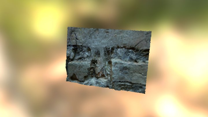 Spider Web