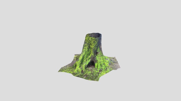 Tree Base 3D Model