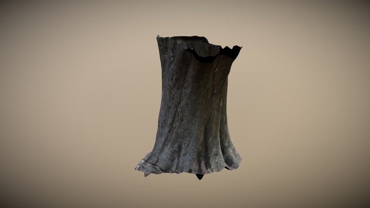 Photogrammetry Tree Trunk 3D Model