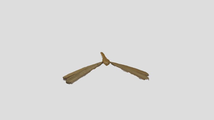 Raw Dragonfly
