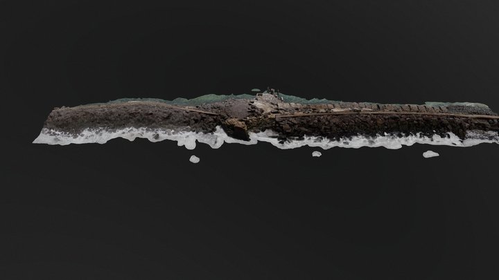 Forte de São Francisco da Laje (Forte do Picão) 3D Model