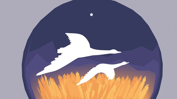 White Geese And Cold Star 3D Model