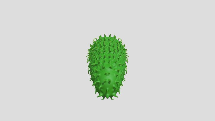 Soursop – Free 3D Model STL