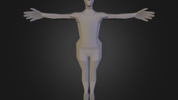 Body 3D Model