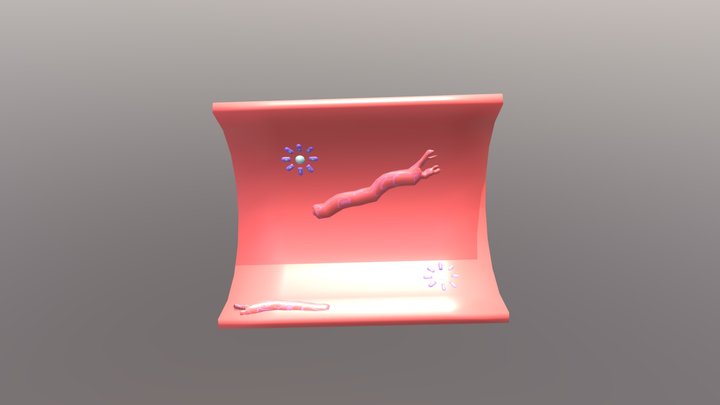 Vein_Wall 3D Model