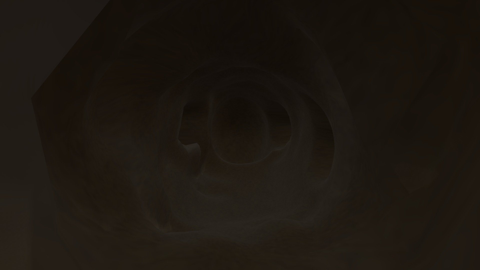 An Anthill From The Inside