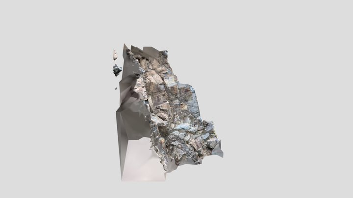Little Silver Cut cliff scan 03 3D Model