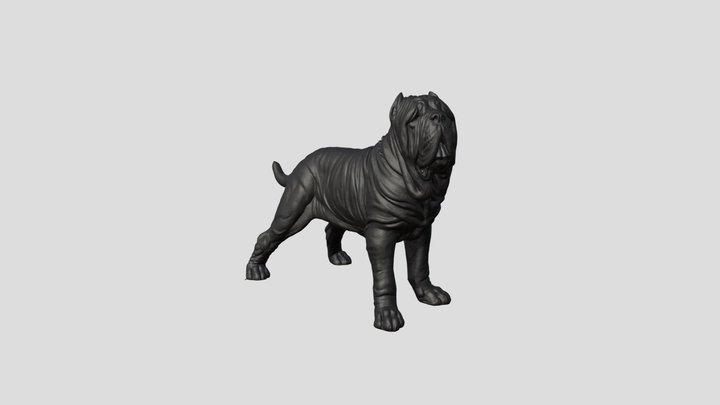 Neapolitan Mastiff Dog - Mastino 3D Model
