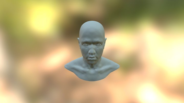Chayant 2015 3D Model